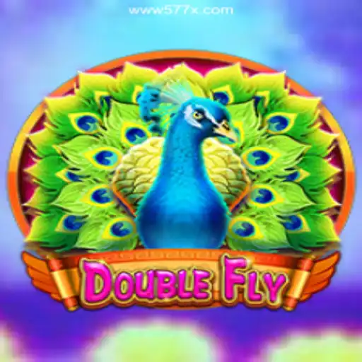 Dive Into the Thrilling World of DoubleFly: Rules, Gameplay, and More